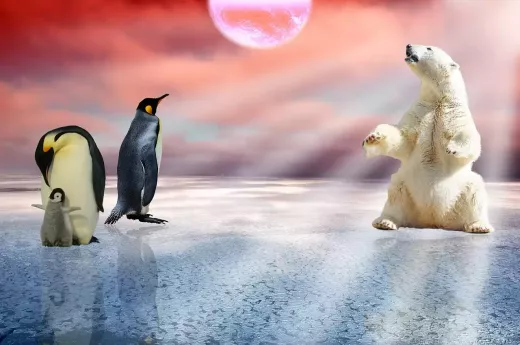10 Unique and Festive Christmas Drawing Ideas to Brighten the Holiday Season